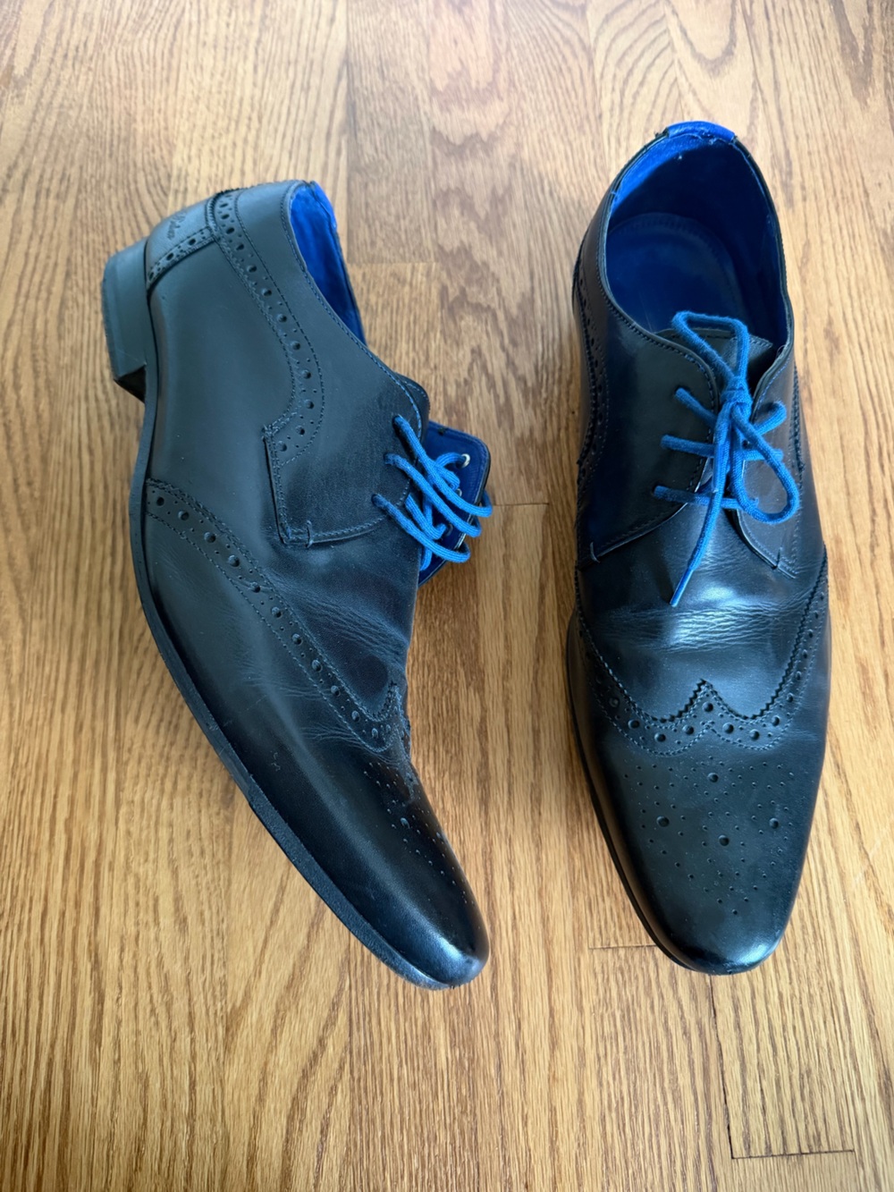 Ted Baker Black Leather Wing Tip Oxfords with Bright Blue Laces